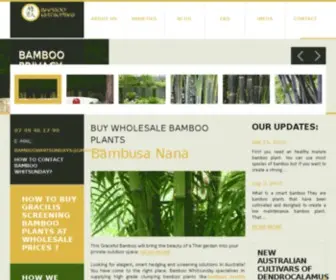 Bambooman.com.au(Wholesale Bamboo Plants For Sale In Sydney & Brisbane) Screenshot