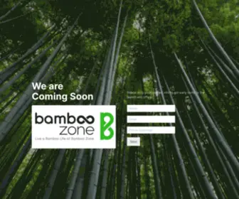 Bamboozone.in(Shop Bamboo products Online) Screenshot