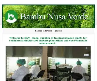 Bambunusaverde.com(BNV Bamboo Tissue Culture Lab & Nursery) Screenshot