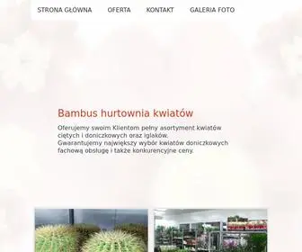 Bambus.com.pl(Strona główna) Screenshot