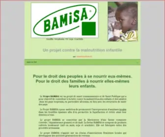 Bamisagora.org(Site sur la malnutrition infantile en Afrique) Screenshot