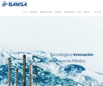 Bamsa.com.mx(Bamsa) Screenshot