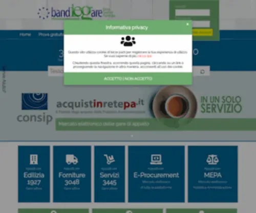 Bandiegare.it(Appalti pubblici) Screenshot