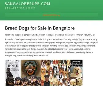 Bangalorepups.com(10 Great PUPS to Adopt) Screenshot