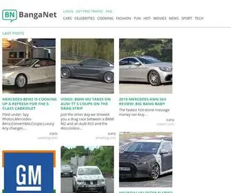 Banganet.com(Free traffic for your website) Screenshot