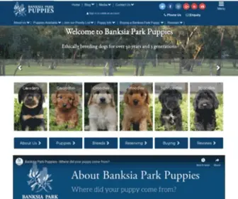 Banksiaparkpuppies.com.au(Banksia Park Puppies) Screenshot