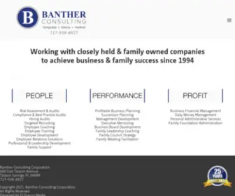 Banther.com(Banther Consulting) Screenshot