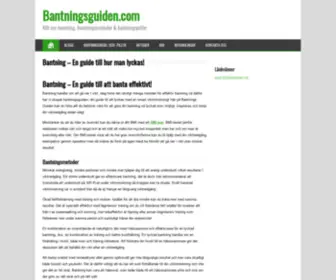 Bantningsguiden.com(BantningsGuiden) Screenshot