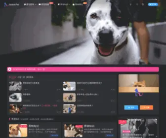 Baobei.pet(baobei) Screenshot