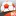 Baobongda.live Favicon