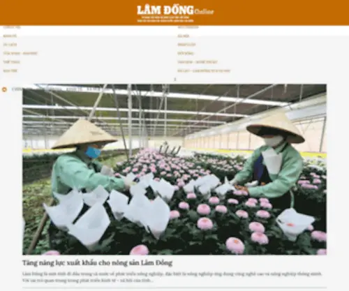 Baolamdong.vn(Tin tức mới nhất) Screenshot