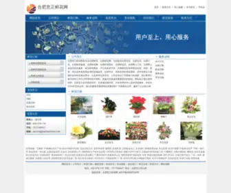 Baomanchem.com(合肥意正鲜花网) Screenshot