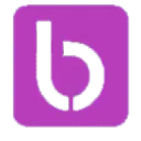 Bapapua.in Favicon