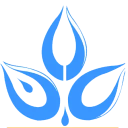 Baran.org.af Logo