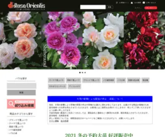 Baranoie.com(バラ苗 専門店) Screenshot