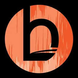 Bardsofnevermore.com Favicon