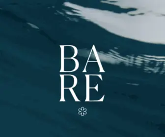 Barerestaurant.no(Barerestaurant) Screenshot