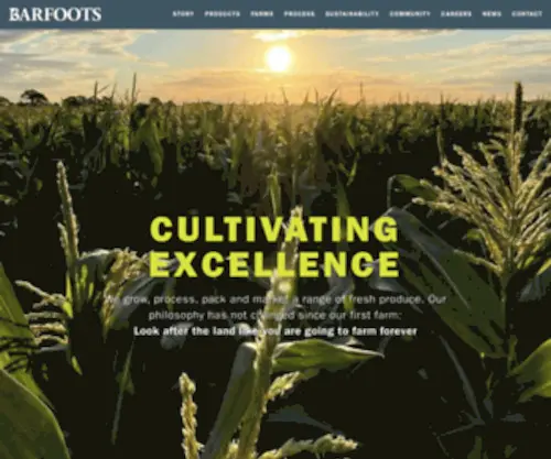 Barfoots.com(Cultivating Excellence) Screenshot