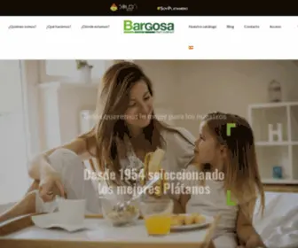 Bargosa.com(Tu proveedor de soluciones) Screenshot