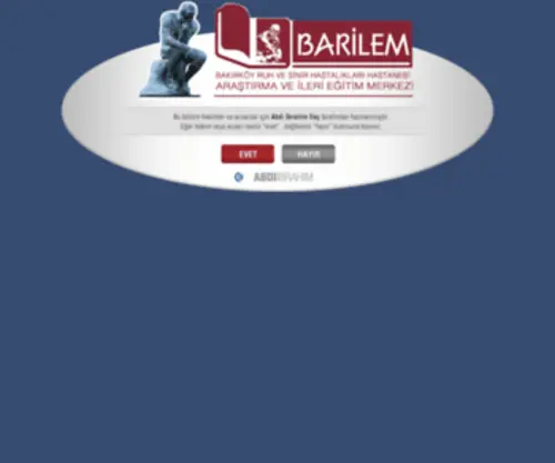 Barilem.com(Barilem) Screenshot