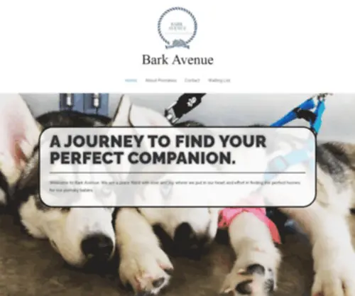 Barkavenuee.com(Bark Avenue) Screenshot