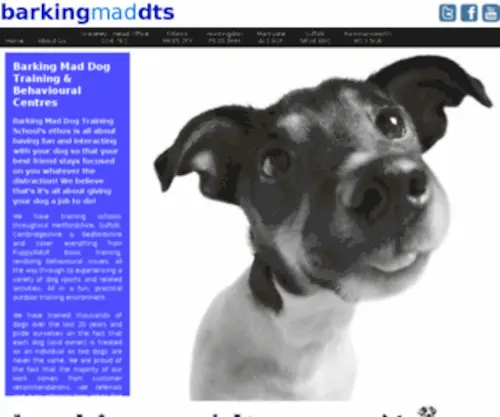 Barkingmaddts.co.uk(Barkingmaddts) Screenshot