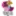 Barnevognguiden.no Favicon