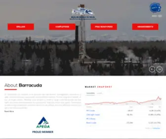 Barracuda-Wellsite.com(Barracuda Wellsite) Screenshot