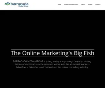 Barracuda.media(The Online Marketing Big FIsh) Screenshot