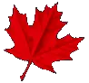 Barterfirst.com Favicon