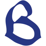 Barudan.co.uk Logo