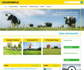 Barusa.com(Make Life Beautiful) Screenshot