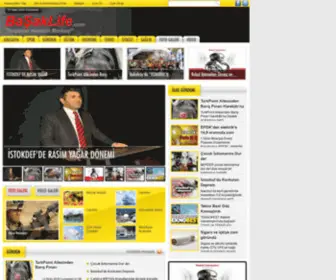 Basaklife.com(Türkiye`nin) Screenshot