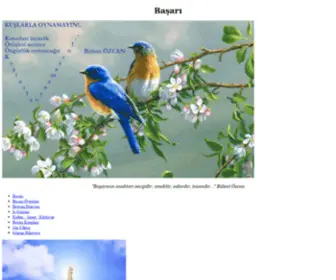 Basari.com(BaÅarÄ±) Screenshot