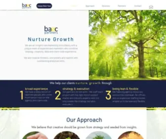 BascPartners.com(Basc partners is an Insight Led Marketing Strategy Consultancy) Screenshot