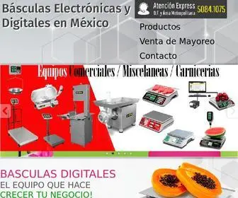 Basculasdigitalesmexico.com(Basculasdigitalesmexico) Screenshot