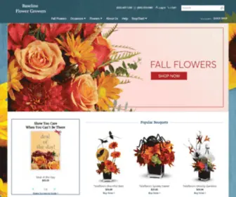 Baselineflowers.com(  Phoenix Florist) Screenshot