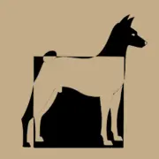 Basenji-Klub.de Favicon