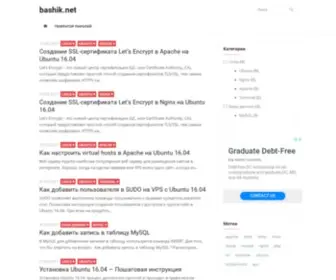 Bashik.net(bashik) Screenshot