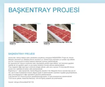 Baskentray.com(BAŞKENTRAY) Screenshot