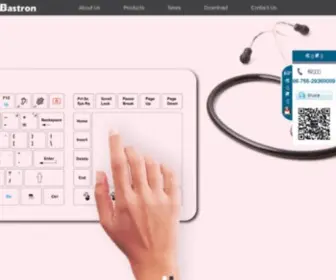 Bastron.com.cn(Keyboard) Screenshot