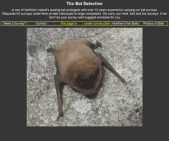 Batdetective.com(Batdetective) Screenshot