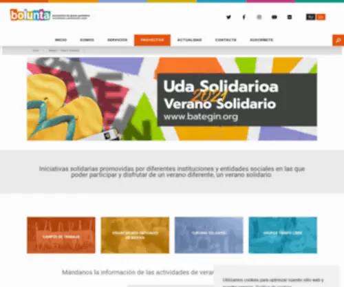 Bategin.org(Verano Solidario) Screenshot