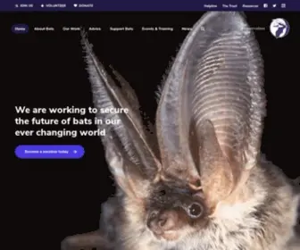 Bats.org.uk(Bat Conservation Trust) Screenshot