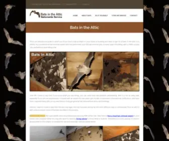 Batsintheattic.org(Bats In the Attic) Screenshot