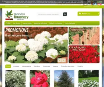 Bauchery.fr(Producteur jeunes plants) Screenshot
