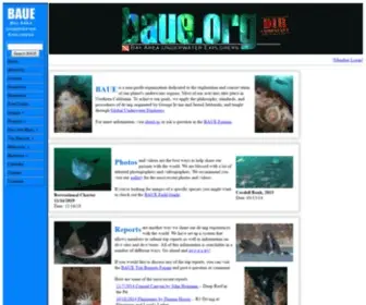 Baue.org(Bay Area Underwater Explorers) Screenshot