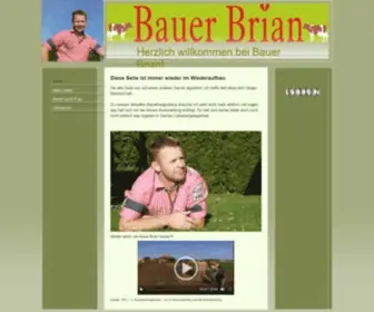 Bauerbrian.de(Meine) Screenshot