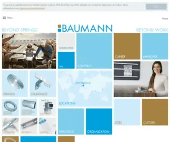 Baumann-Group.com(Beyond Work) Screenshot