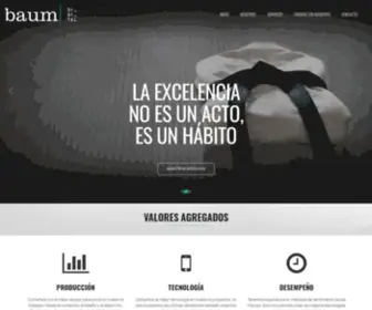 Baumdigital.com(Baum Digital) Screenshot